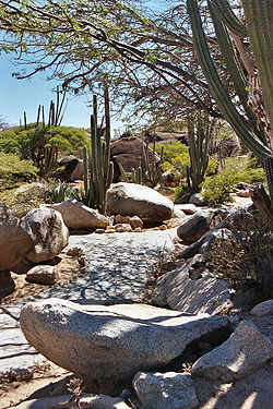Inland Aruba, 2004.