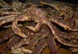 Red king crabs.