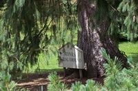 Monks Burial Ground, Woburn Abbey, England.