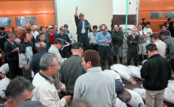 Tuna auction at the Tsukiji fish market in Tokyo