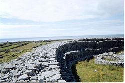 Ring fort on the island of Inishmaan, Aran Islands, Ireland. Photograph by Jonathan Leonard.