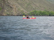 A paddler in a sit on top kayak explores Kealakekua Bay in Hawaii.