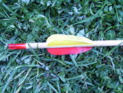 Straight parabolic fletchings on an arrow.