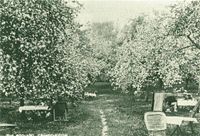 The Orchard in blossom, c. 1910.