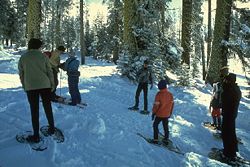 A ranger-guided snowshoe walk in the park