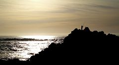 Angler at sunset, Asilomar Beach, Pacific Grove, California, U.S.
