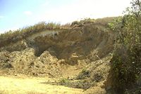 A heavily eroded roadside near Ciudad Colon, Costa Rica.