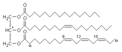 The characteristic structure of a triglyceride, with a glycerol head (left) attached to three fatty acid tails. This example of an unsaturated fat contains the fatty acids palmitic acid, oleic acid, and alpha-linolenic acid.