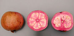 'Thai Maroon' guavas