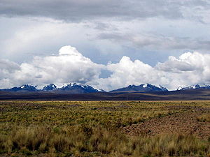 The Bolivian Altiplano at approximately 14,000 feet. In the background rise the snow-covered peaks of the Cordillera Real