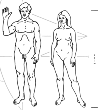 Humans as depicted on the Pioneer plaque