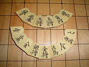 Closeup of shogi pieces. Top: +R, R, K (white), K (black), B, +B. Bottom: +L, L, +S, S, G, N, +N, p, +p.