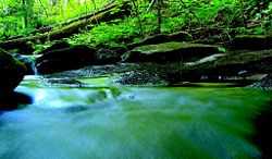 Stream in North Bay, Canada