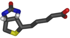 Biotin3d.png