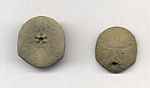 Cretaceous echinoids from Castle Hayne quarry, North Carolina, USA