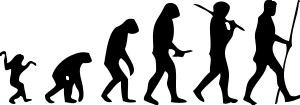 Image:Human evolution scheme.svg