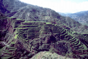Banaue Rice Terraces, Ifugao Province, Philippines.