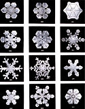 Snowflakes by Wilson Bentley, 1902.