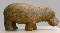 Egyptian Hoppopotamus
