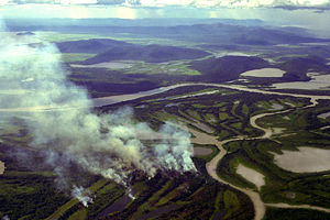 People often use fires to clear land for agriculture or grazing livestock in the Pantanal.
