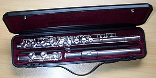 A closed hole "take-down" flute in case