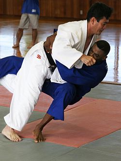 Tachi-waza (Stand-up grappling) ends and ne-waza (Ground grappling) starts once the judoka go to the ground.