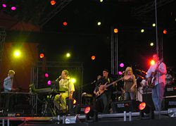Brian Wilson in concert in 2005.
