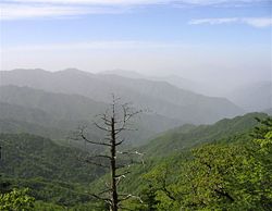 Waves of mountain ridges on Jirisan