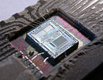 153056995 5ef8b01016 o.jpg
