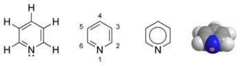 Various representations of a molecule of pyridine. The hexagonal ring is composed of five carbon atoms (at the five unmarked corners) and one nitrogen atom (marked with an N).