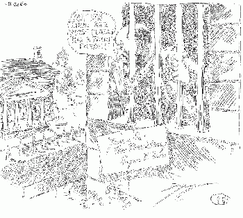 Clifford Berryman's cartoon depiction of Deb's presidential run