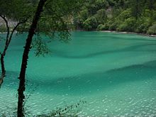Panda Lake