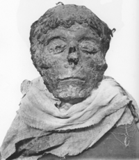 The mummified head of Ahmose I, at the Luxor Museum
