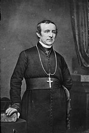 Archbishop John Hughes, one of the proponents the Catholic Churches decision to establish a comprehensive group of private schools