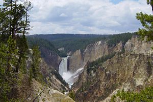 Lower Yellowstone Falls where the Yellowstone River plunges into the Grand Canyon of the Yellowstone
