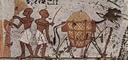 Ancient Egyptian donkey