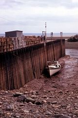 The Bay of Fundy  at low tide