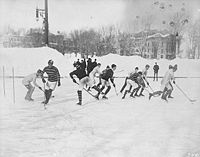 McGill Ice Hockey team, 1901