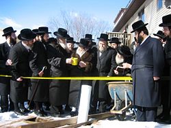 Dombrover Rebbe of Monsey with the Nadvorna Rebbe and others