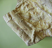 Cruziana, fossil track of Trilobites