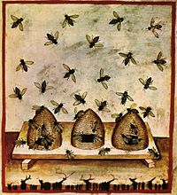 Beekeeping, tacuinum sanitatis casanatensis (XIV century)