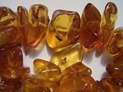 A mosquito and a fly in this Baltic amber necklace are between 40 and 60 million years old.