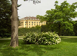 The palace, as seen from the gardens