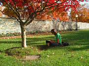 The lawn outside Copley Hall is popular for recreation.
