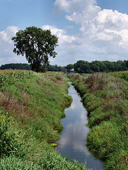 Yellow River in rural Indiana, USA. Rivers of this size are often referred to as "creeks."