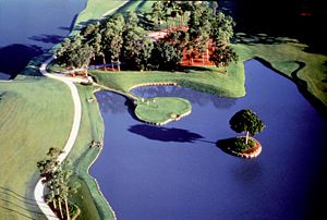 The famous 17th hole of the TPC at Sawgrass Stadium Course features an island green.