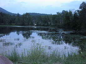 Mill Pond, Long Lake Road.