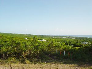 Looking out to sea from Nevis