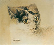 Domestic cat, painting by Louis Wain