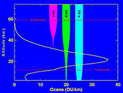 Levels of ozone at various altitudes and blocking of ultraviolet radiation.